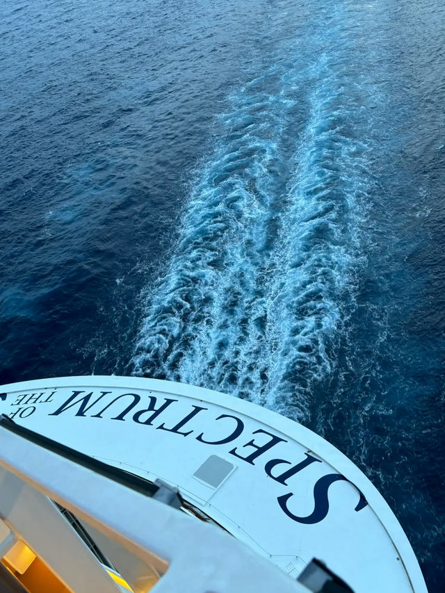 🚢 Blue Hour on Spectrum of the Seas — How could you not fall in love? 