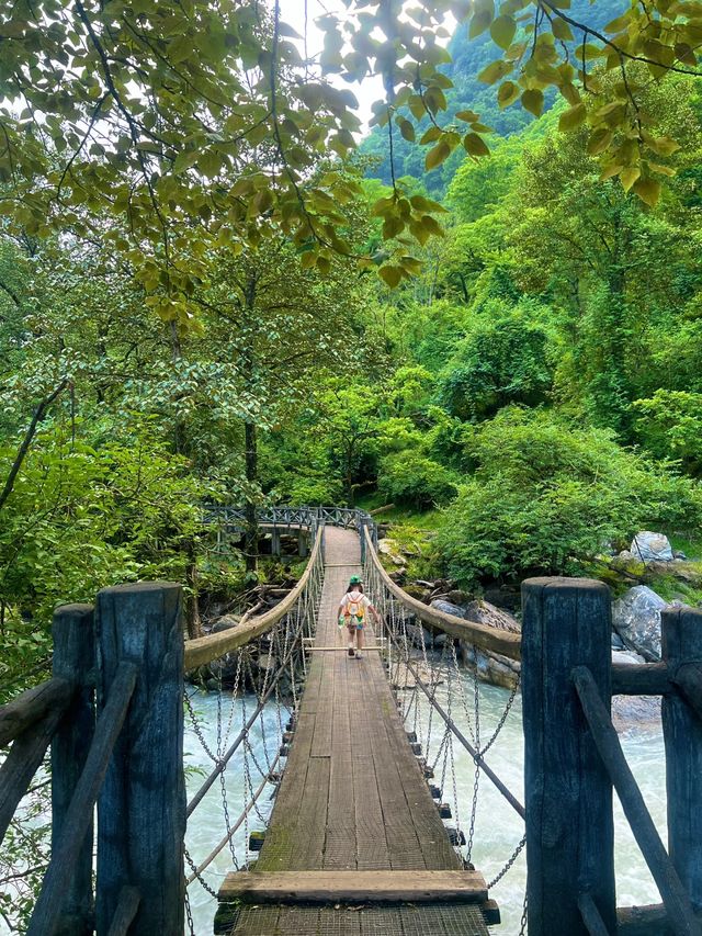成都周邊避暑攻略，闖入23℃綠野仙蹤！