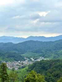 杭州九溪徒步｜喺小溪同茶園治癒系吸氧