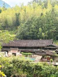 泰順 漂流 廊橋