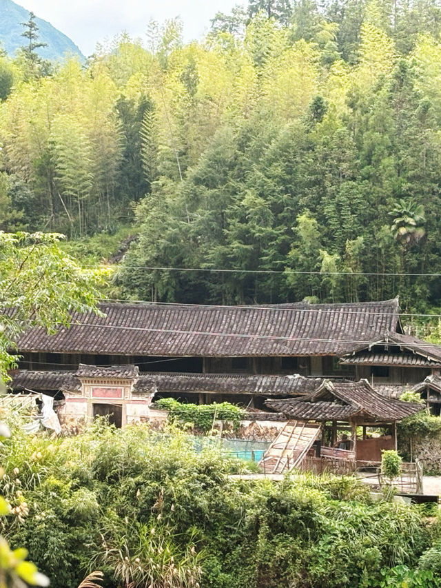 泰順 漂流 廊橋