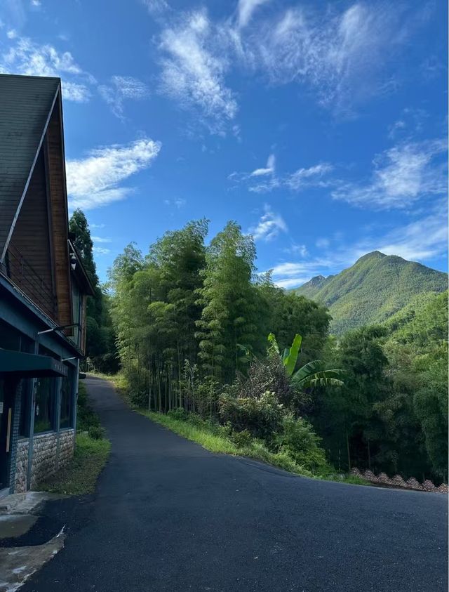 在衢州!住進森林小木屋超chill 在衢州!住進森林小木屋超chill