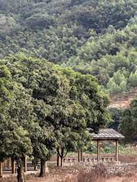 山色如詩——漳州長泰十里藍山景區