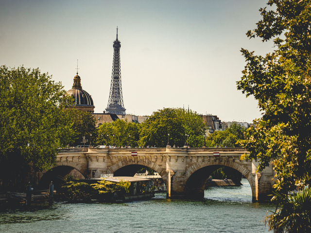 The Eiffel Tower in Paris! 🇫🇷✨