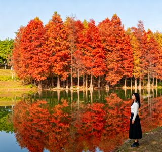 Autumn Off-the-Beaten-Path Strolls in Changsha｜5 Healing Hidden Gems to Avoid the Crowds