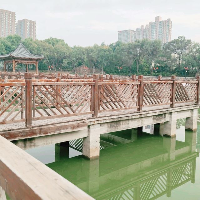 Concrete Jungle of Shenyang 🏙️