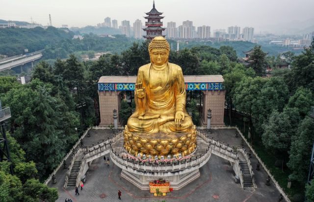 華岩寺秋菊盛開免費祈福