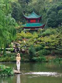 帶小學課本爬嶽麓山，在愛晚亭讀懂了楓林晚
