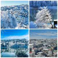 南方人的冬日狂想：2025-2026雪季廬山賞雪全攻略