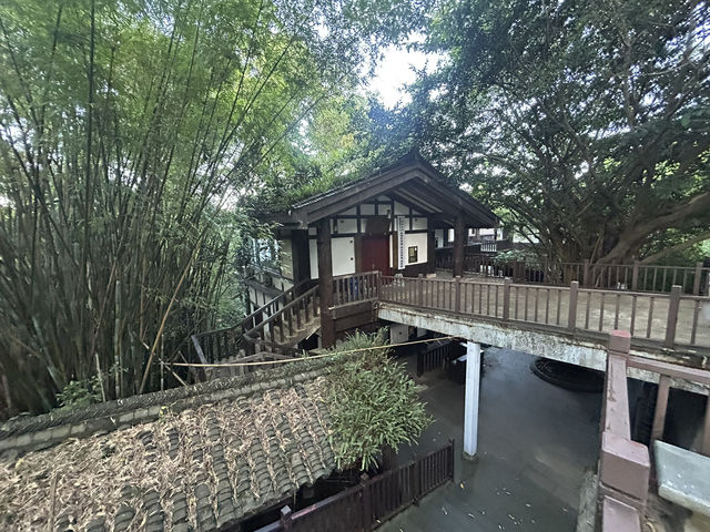 🍃 東部華僑城＆茶翁古鎮｜遠離塵囂、親近湖光山色