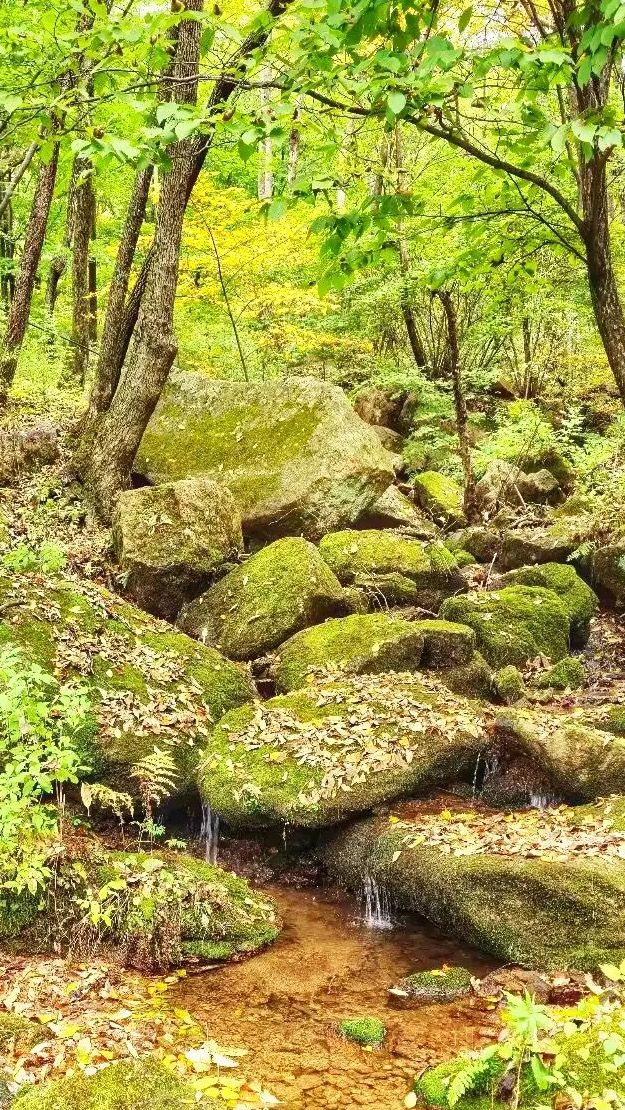 本溪老邊溝｜一腳踏進漫山紅透的童話世界