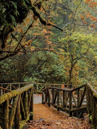 Tianshengqiao Late Autumn Hiking Guide | Unlock the "Taihang Mountains Shangri-La" Autumn Fairy Tale in One Day