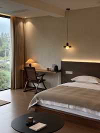 安吉民宿staycation｜來山裡和杉樹見一面