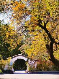 探秘北寧公園一步一景的秋日風情