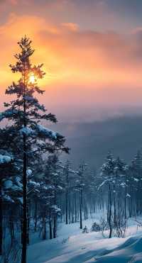 人均3000玩轉長白山！5天4晚保姆級滑雪攻略