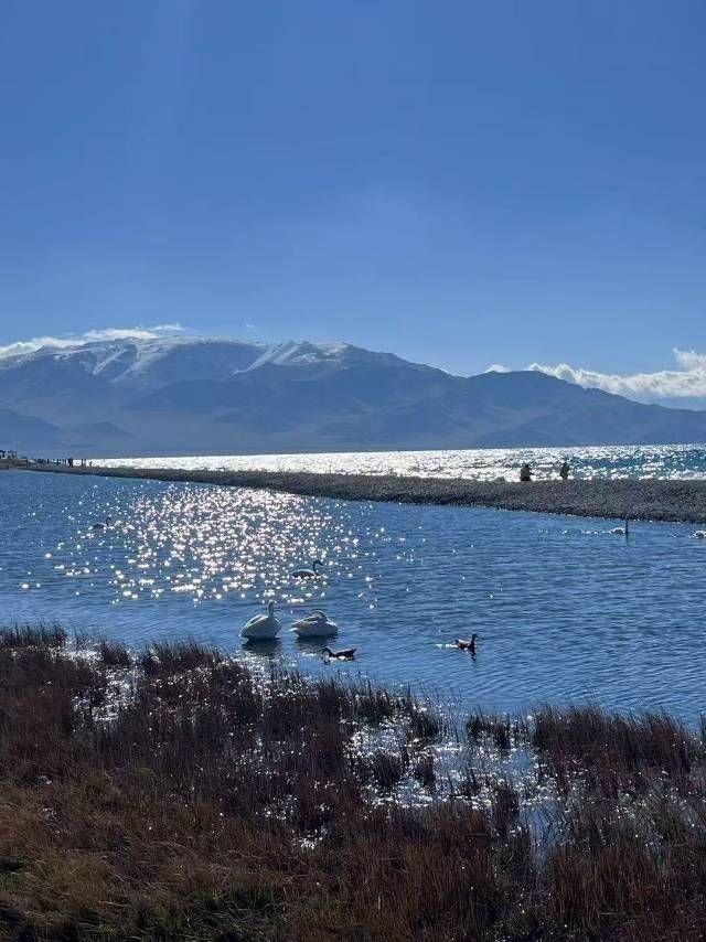 賽里木湖