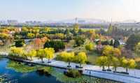 秋天就要逛公園！來雙珠公園看秋色斑斕！