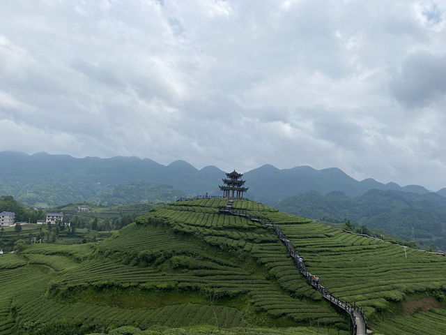 1 在這片被時光輕撫的土地上 每一塊石板路都鐫刻著故事 每一縷炊煙都纏繞著鄉愁 漫步於古城的晨曦 讓