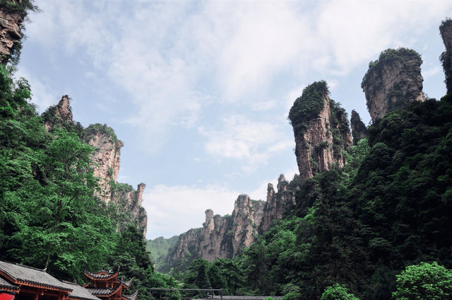 《阿凡達》拍得太保守了！武陵源才是真正的潘多拉星球！