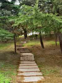 【河南省濮陽市】濮上園景區。