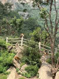 雲台山遊玩攻略