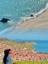 青島1元環海公交yyds！沿途海景美翻天