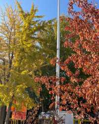 西塔閨蜜遊|煙火裡藏祈福,舒適旅居治癒時光