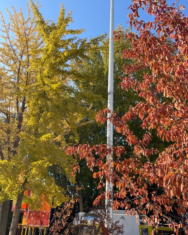 西塔閨蜜遊|煙火裡藏祈福,舒適旅居治癒時光 西塔閨蜜遊|煙火裡藏祈福,舒適旅居治癒時光
