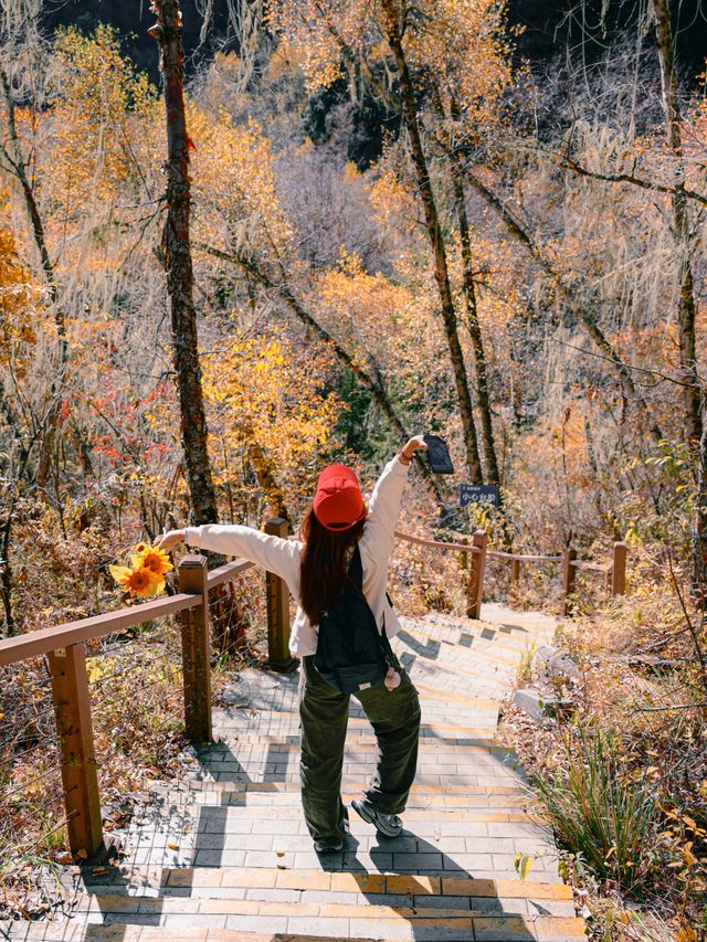 來回9小時，值回票價到喊晒！松坪溝嘅秋天簡直係神級啦