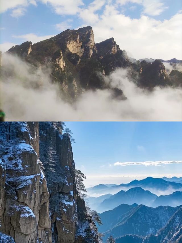 一山兩季｜河南老界嶺免票到年尾，打卡南北氣候分界線