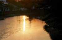 深秋「好色」去上海植物園