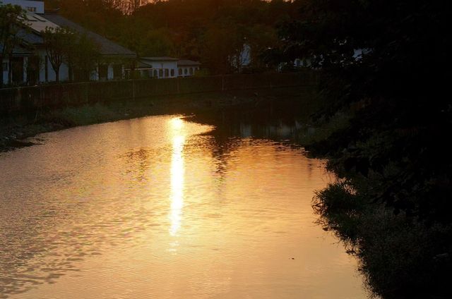 深秋「好色」去上海植物園 深秋「好色」去上海植物園