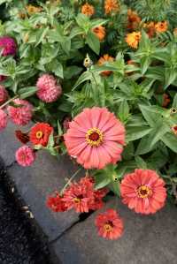 離天空很近的世外桃源小村莊