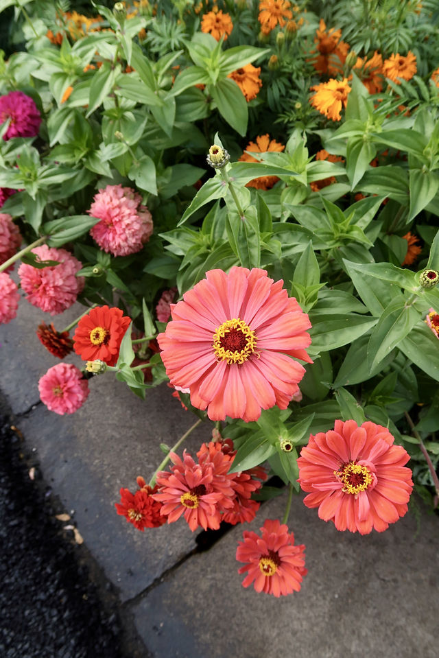 離天空很近的世外桃源小村莊