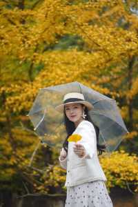 尖叫！韶關帽子峰金色童話世界已上線！！