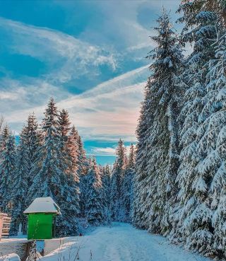 Winter Fairy Tale Romania Sinaia Super Dreamy Snowy Castle