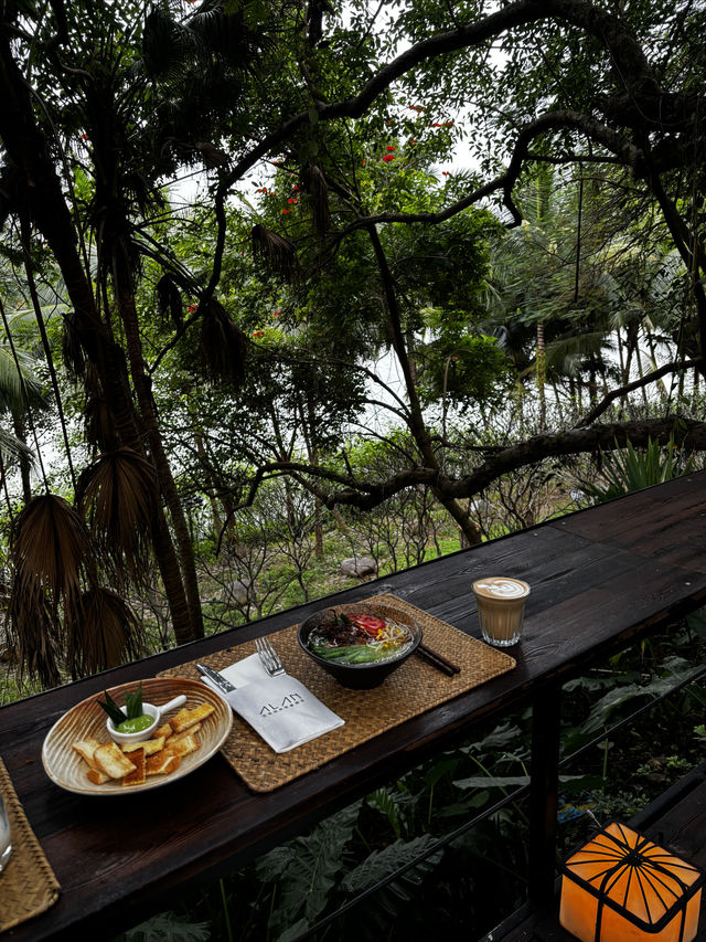 雨林野奢酒店指南 雨林野奢酒店指南