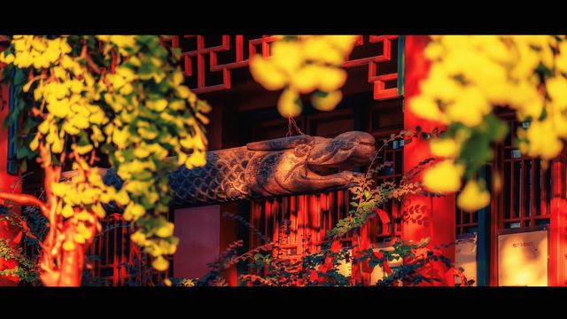 南京最禪意銀杏地毗盧寺私藏機位攻略