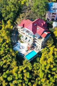 楓情莫干,醉美深秋