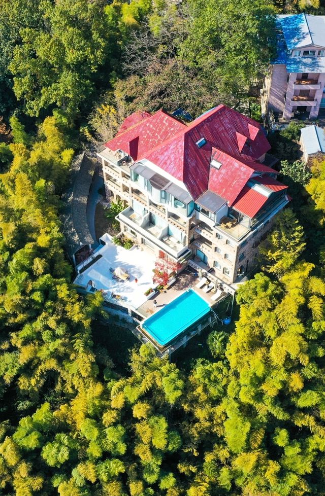 楓情莫干,醉美深秋 楓情莫干,醉美深秋