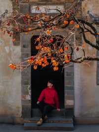 11月後來我逢人便說，婺源的秋景有多美