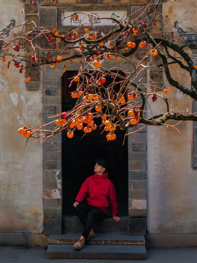 11月後來我逢人便說，婺源的秋景有多美