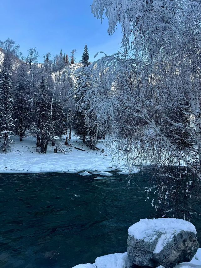 新疆阿勒泰喀納斯冰雪仙境｜初雪飄落美到窒息