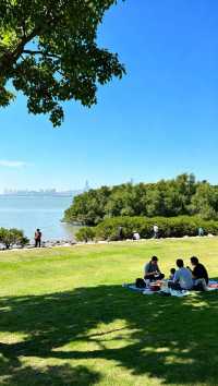 深圳，不止是經濟特區！這座未來之城，藏著太多驚喜