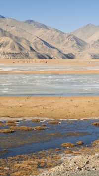 大自然的調色盤在帕米爾被打翻|塔縣攻略|||