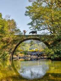 以為皖南的秋天夠美了，直到我去了趟婺源！