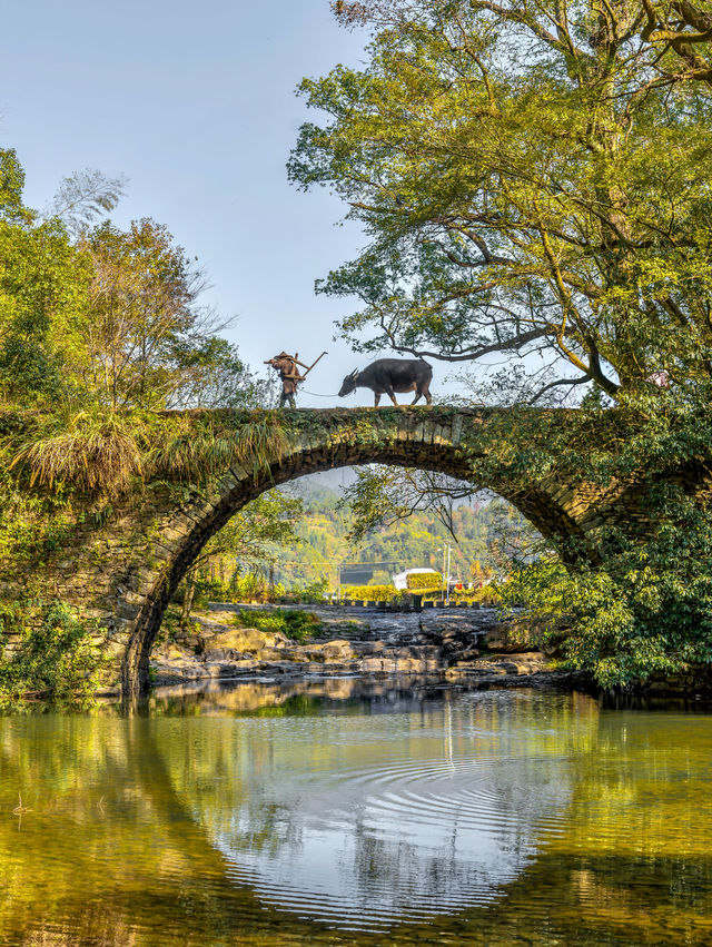 以為皖南的秋天夠美了，直到我去了趟婺源！