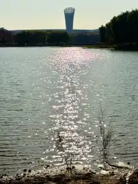 秋意正濃｜石家莊中心湖公園