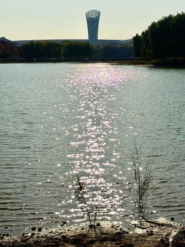 秋意正濃｜石家莊中心湖公園