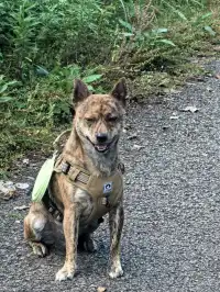 寧波徒步 | 山海徑，烽火台，風車路